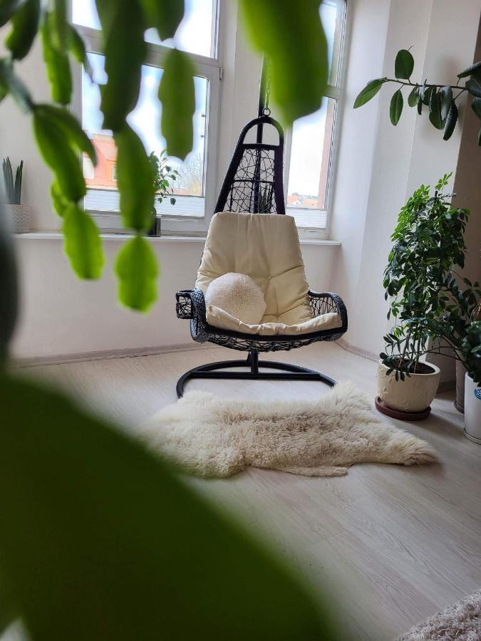 Cozy 2 Room Apartment In The Oldtown Of ไคลเพดา ภายนอก รูปภาพ